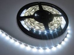 professional 2835 - 60 LED / m COLD WHITE